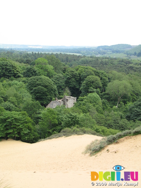 SX06785 Remains of Candleston Castle sticking out of trees seen from Merthyr-mawr Warren sand dunes